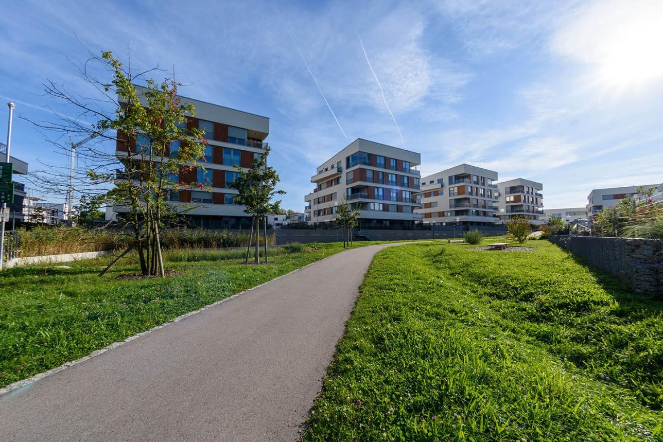 Zone résidentielle avec chemin et maisons