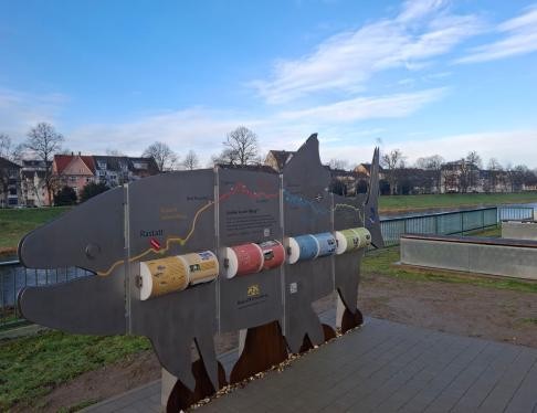 Der rund vier Meter lange Info-Lachs an der Badener Brücke