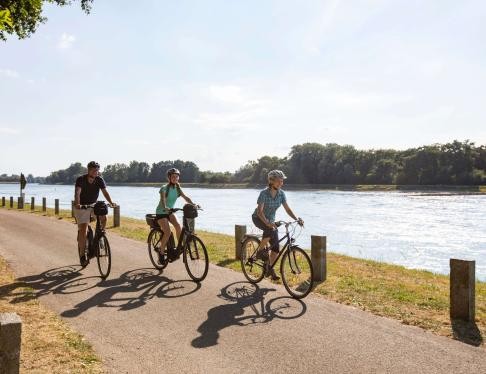 Fahrradfahrer entlang des Rheins 