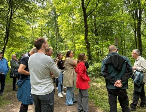 Oberbürgermeisterin Monika Müller, Bürgermeister Raphael Knoth und Mitgliedern des Gemeinderats haben die Förster Uwe Kirst, Nico Jakob und Thomas Nissen durch den Rastatter Stadtwald geführt