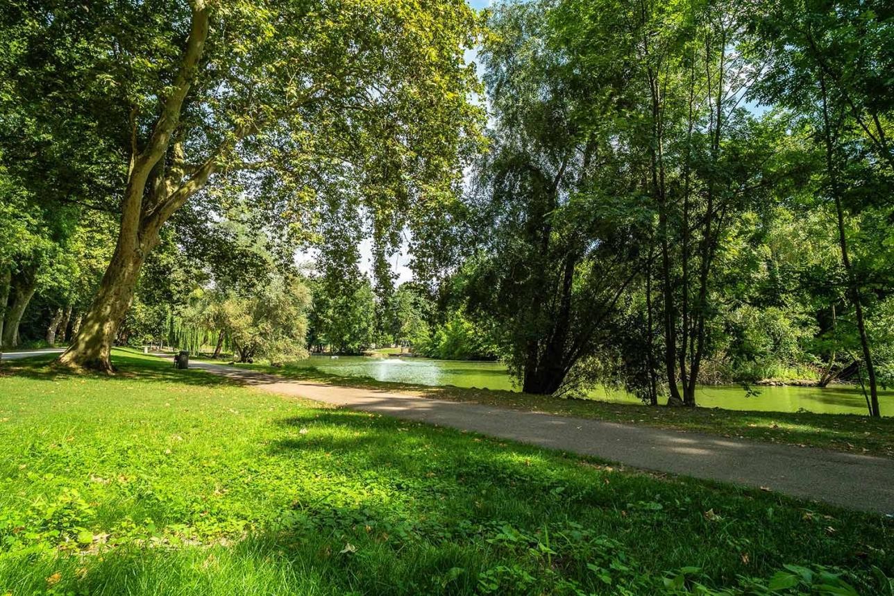 Parc municipal avec pelouse verte et arbres