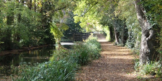 Woking_Basingstoke Canal_Foto Woking Borough Council