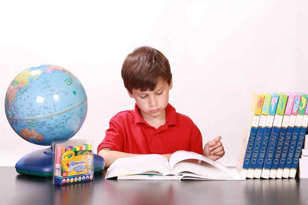 A boy reads a book