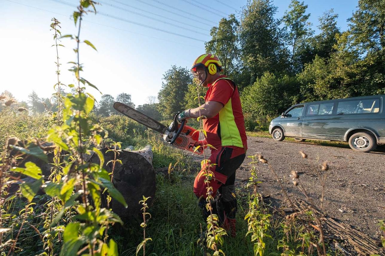 Forestry worker with chainsaw in front of a log, a car in the background, the sun is shining.