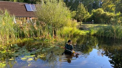 FÖJ Ecological station pond cleaning