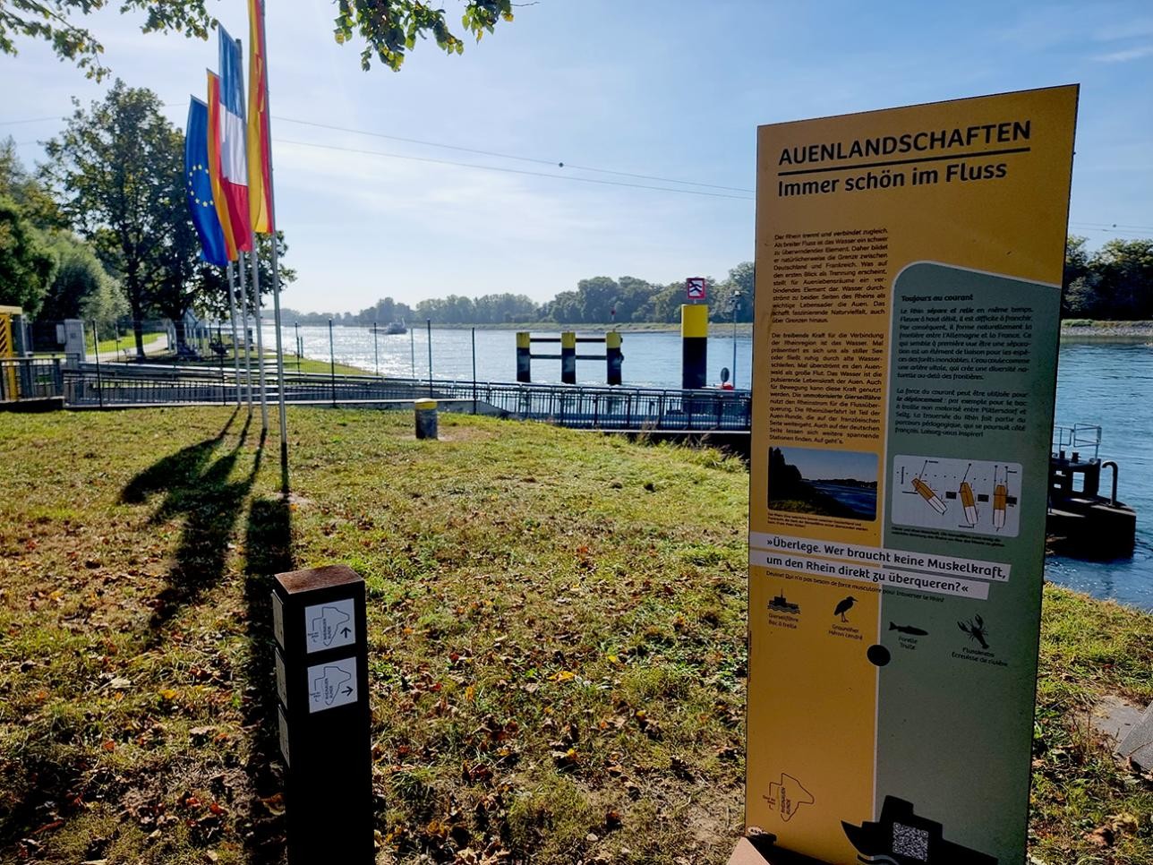 Stop of the Rheinauen-Runde at the ferry in Plittersdorf