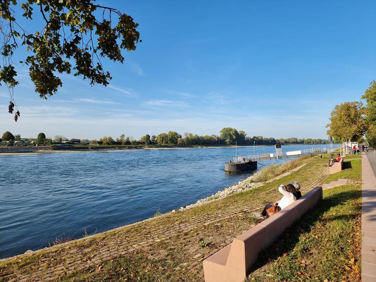 Stone bench directly on the banks of the Rhine