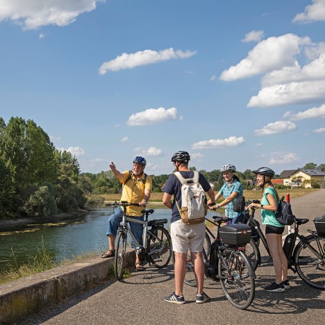 Group of cyclists on the Rhine dam in Plittersdorf