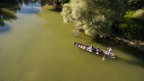 Les plaines alluviales du Rhin vues d'en haut