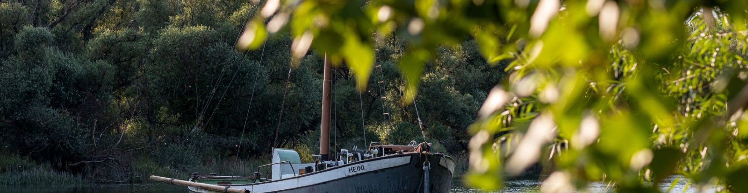 Aalschokker Heini dans un bras du Vieux Rhin : gros plan avec des arbres devant. 