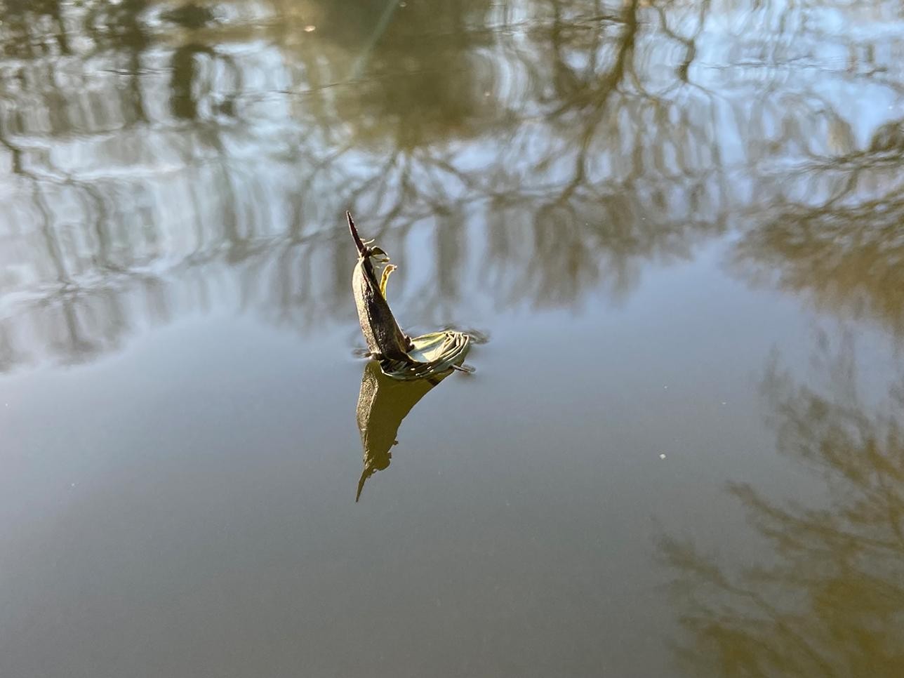 Mini boat on a body of water