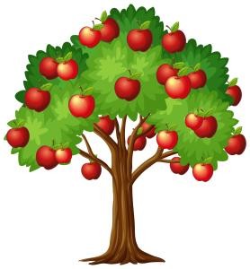 Zeichnung Apfelbaum mit roten Äpfeln