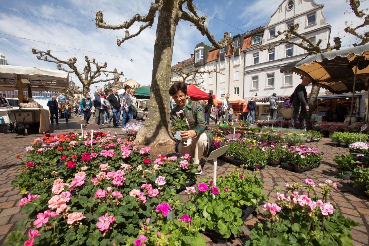 Blumenstand beim Verkaufsoffenen Sonntag. Foto: Ulrike Klumpp Blumenstand beim Verkaufsoffenen Sonntag