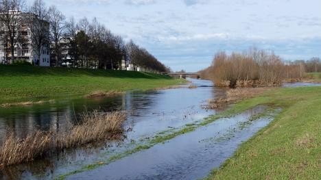 Überflutetes Flussbett der Murg in Rastatt.