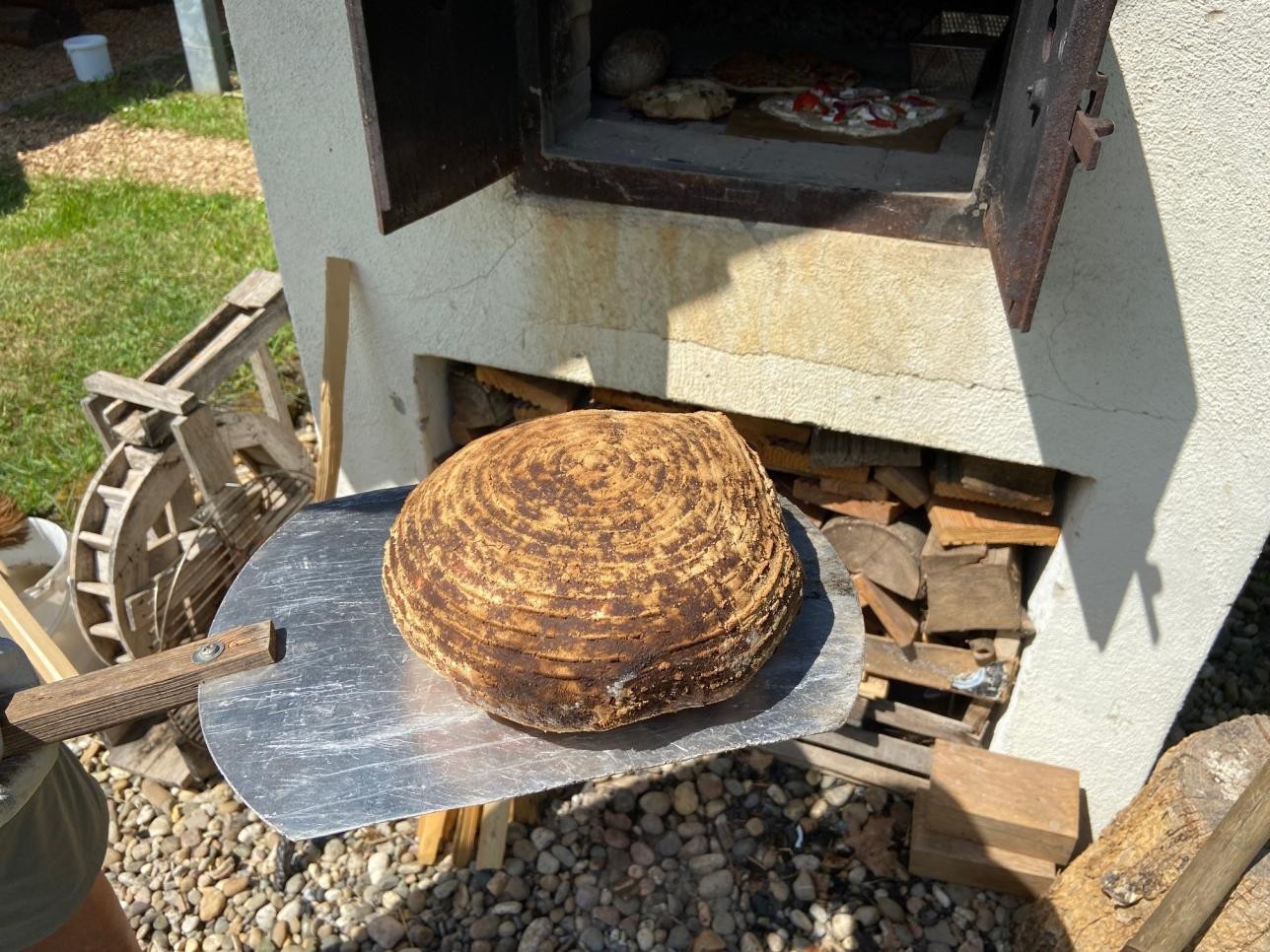 Brot, das gerade aus einem Holzofen gezogen wurde