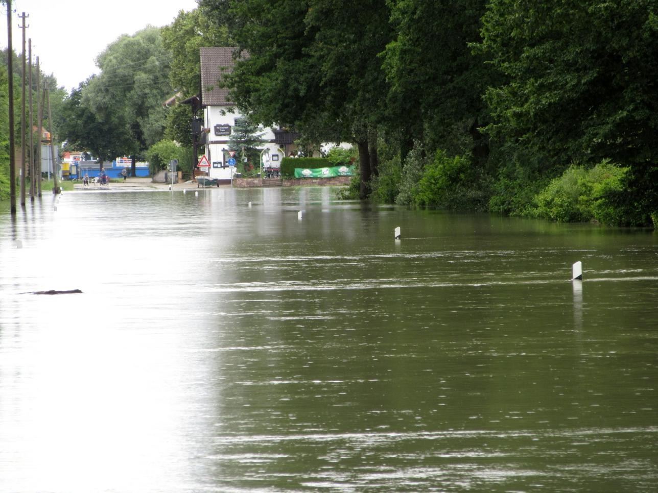 Überschwemmte Straße vor der Fähre in Plittersdorf