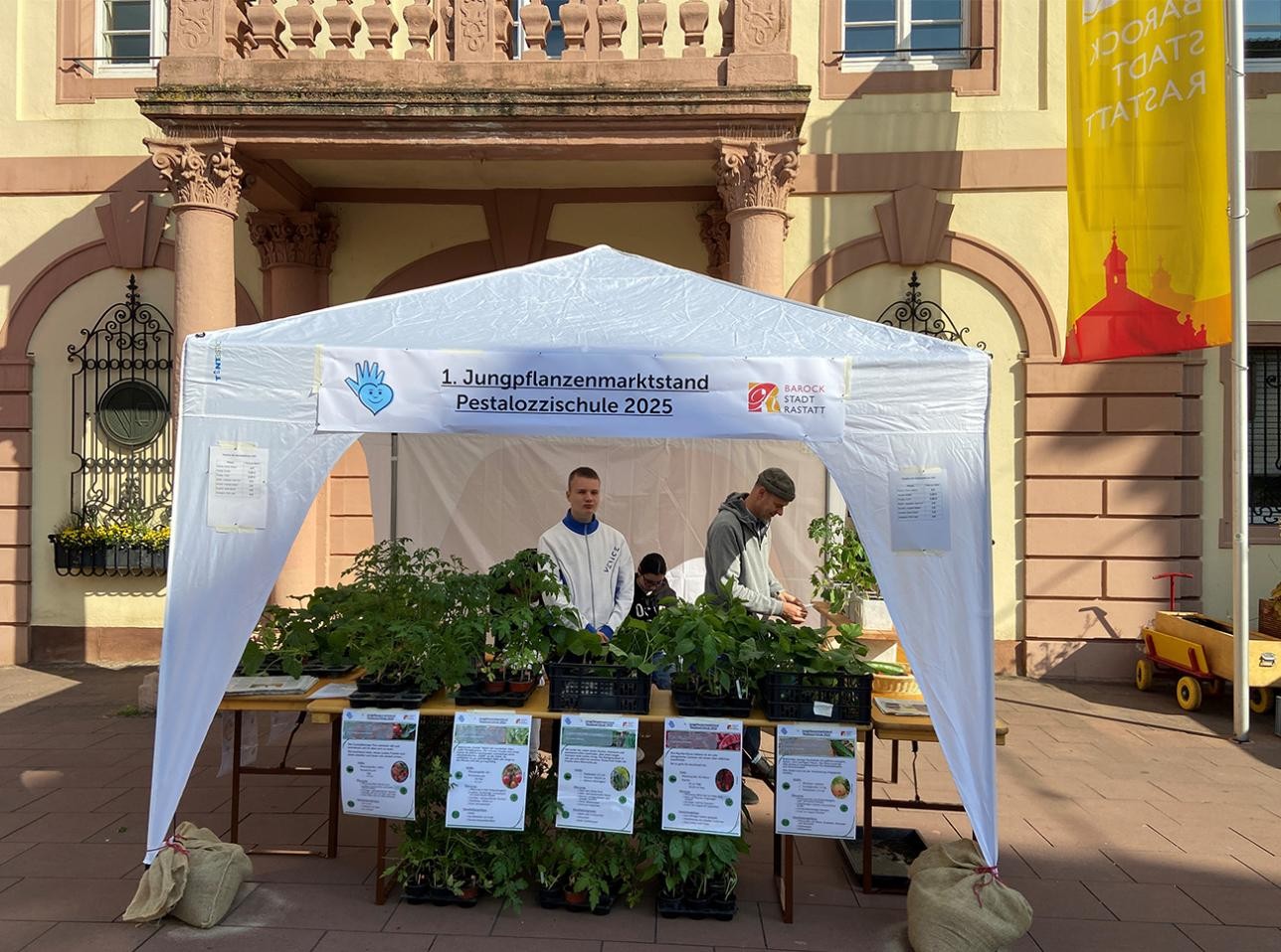 Die Schüler der Pestalozzi-Schule verkaufen auf dem Wochenmarkt vor dem Historischen Rathaus Bio-Gemüsejungpflanzen