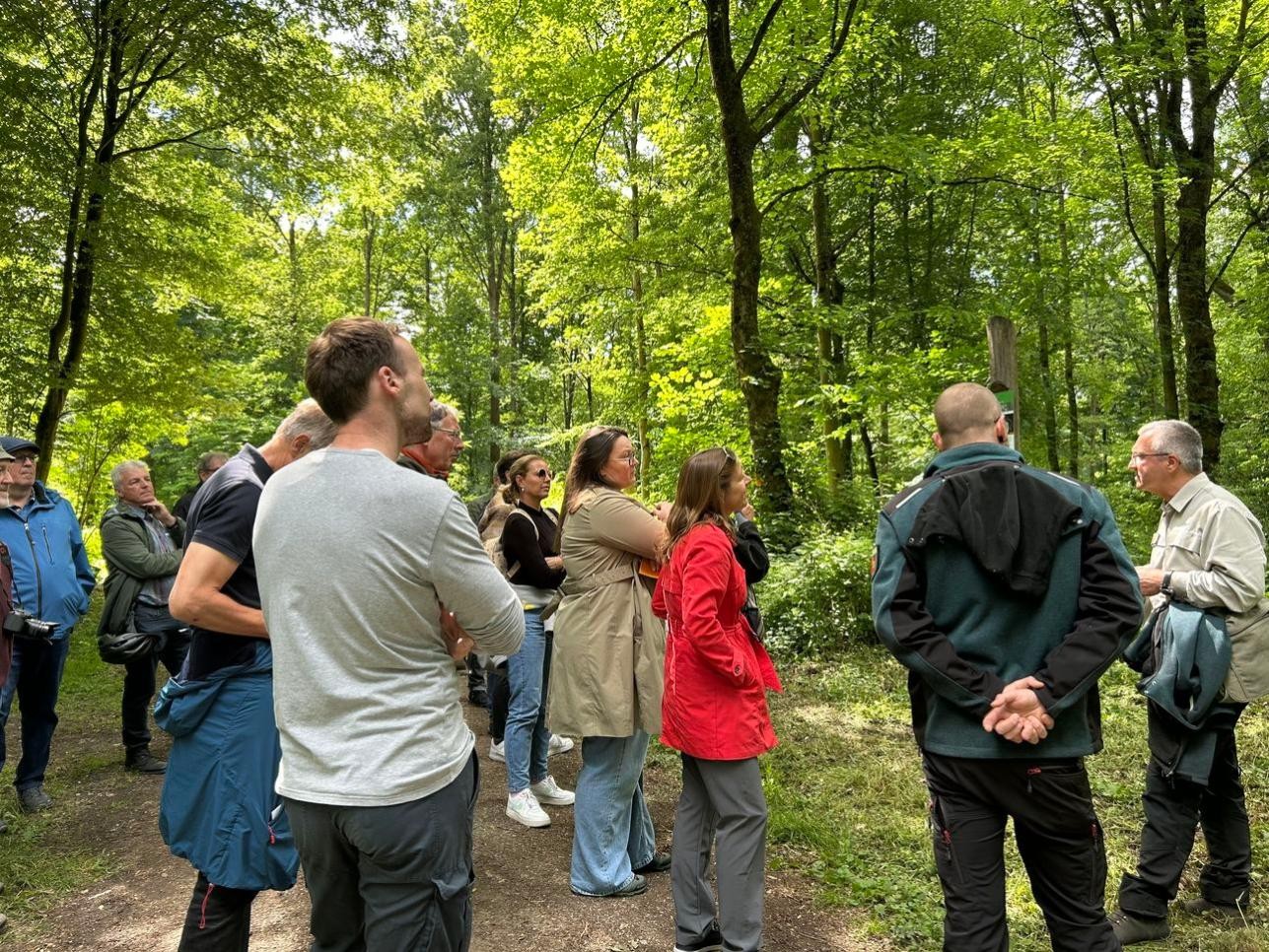 Gemeinsam mit Oberbürgermeisterin Monika Müller, Bürgermeister Raphael Knoth und Mitgliedern des Gemeinderats haben die Förster Uwe Kirst, Nico Jakob und Thomas Nissen durch den Rastatter Stadtwald geführt. Foto: Stadt Rastatt/Samira Kaiser Oberbürgermeisterin Monika Müller, Bürgermeister Raphael Knoth und Mitgliedern des Gemeinderats haben die Förster Uwe Kirst, Nico Jakob und Thomas Nissen durch den Rastatter Stadtwald geführt