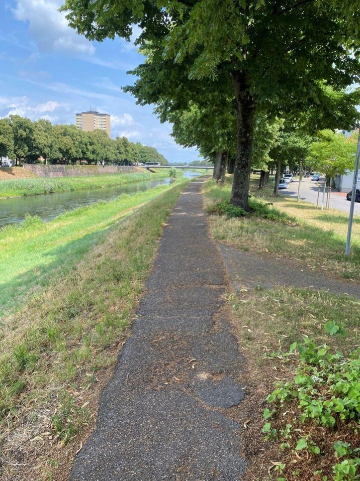 Der Abschnitt des Murgdammweges zwischen der Schließbrücke und der Hindenburgbrücke wird saniert. Foto: Stadt Rastatt/Ulrich Steinam Blick auf den Murgdamm zwischen der Schließbrücke und der Hindenburgbrücke