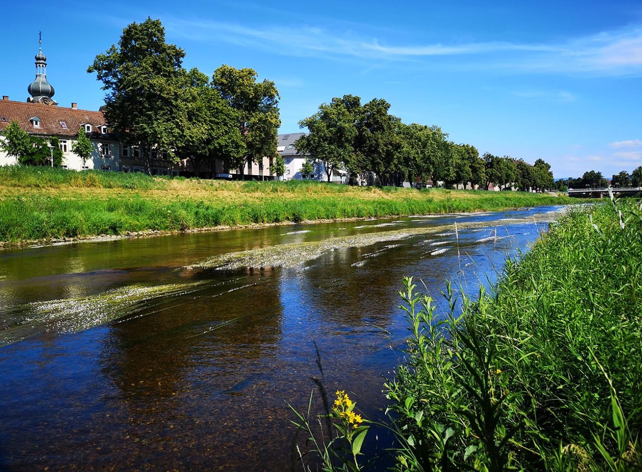 Die Murg in der nähe der Ankerbrücke. Foto: Stadt Rastatt/Isabelle Joyon Murg bei der Schließbrücke. Baum im Vordergrund. Sonniger tAG