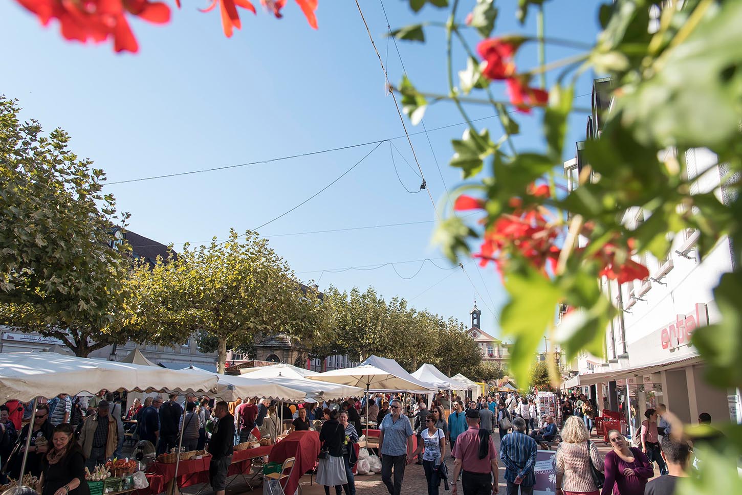 Marché paysan lors de l'ouverture des magasins en automne